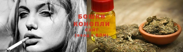 дмт Козельск