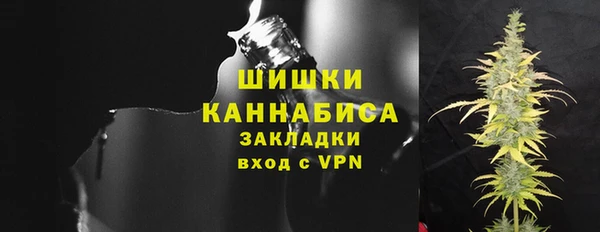 дмт Козельск
