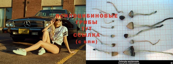 MDMA Козловка