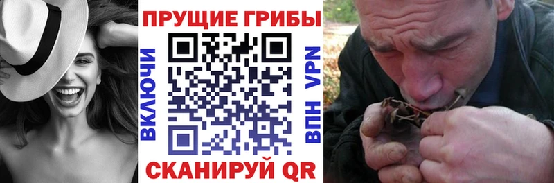 Псилоцибиновые грибы Magic Shrooms  Купить закладки  Берёзовский 